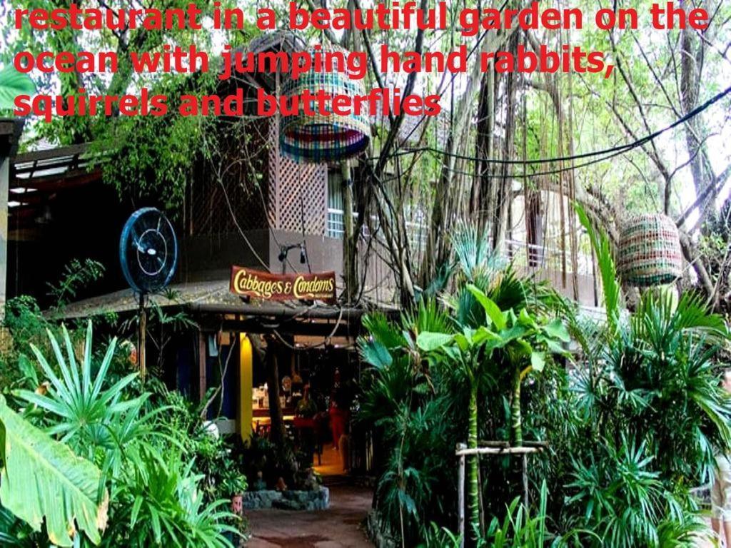 Двух-Комнатная Квартира В Кондоминимуме "Tropikal Garden" Pattaya Dış mekan fotoğraf